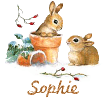 lapin21001