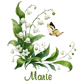 mai-26047