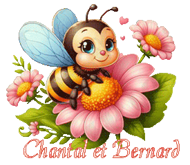 abeille25049