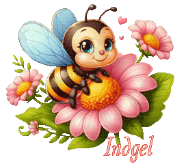 abeille21082