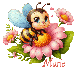 abeille21082