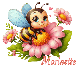 abeille25049