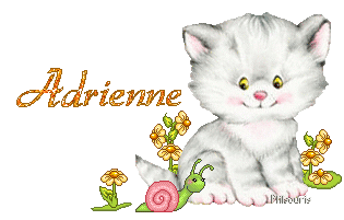 chat1990