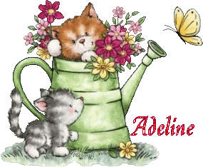 2chatons21047