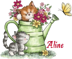 2chatons21047