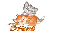 chatons-1975