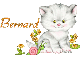 chat1990