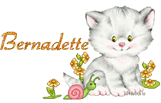 chat1990