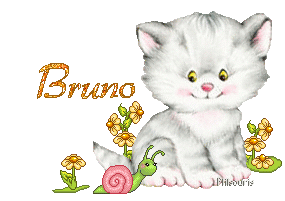chat1990