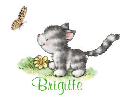butterfly-cat21048