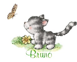 butterfly-cat21048