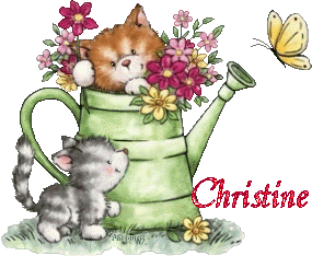 2chatons21047