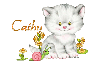 chat1990