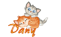 chatons-1975