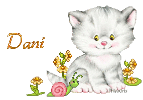 chat1990