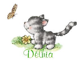 butterfly-cat21048