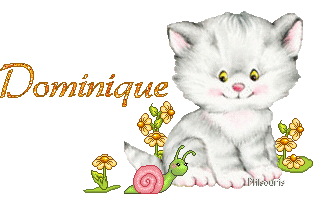 chat1990