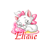 chat2040