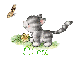 butterfly-cat21048