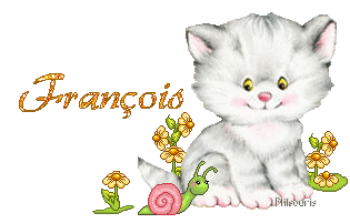 chat1990