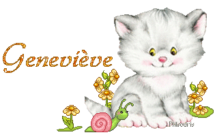 chat1990