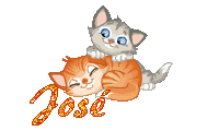 chatons-1975