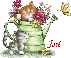 2chatons21047