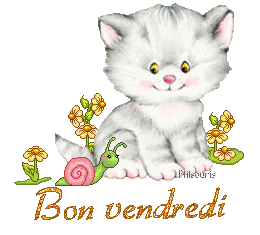 cute cat 1990