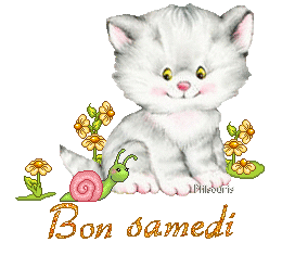 cute cat 1990
