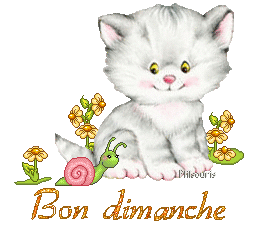 cute cat 1990