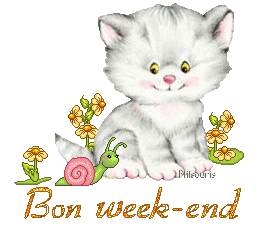 cute cat 1990
