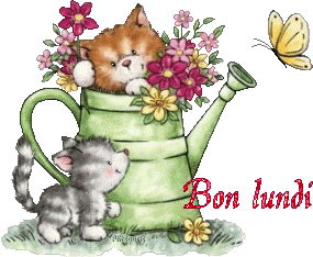 2chatons21047
