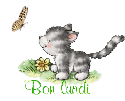 butterfly-cat21048