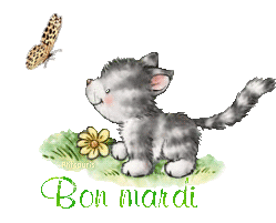 butterfly-cat21048