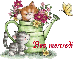 2chatons21047