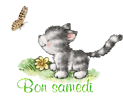 butterfly-cat21048