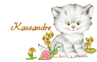 chat1990