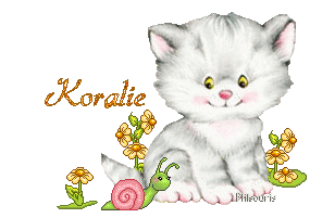 chat1990