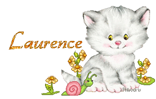 chat1990