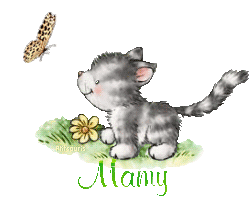 butterfly-cat21048