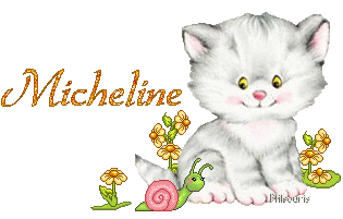 chat1990