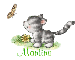 butterfly-cat21048