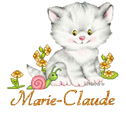 chat1990