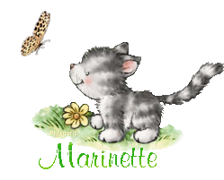 butterfly-cat21048