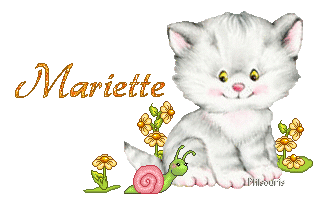chat1990