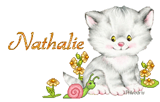 chat1990
