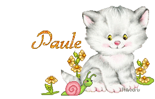 chat1990