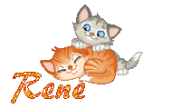 chatons-1975