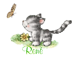 butterfly-cat21048