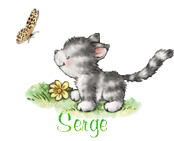 butterfly-cat21048